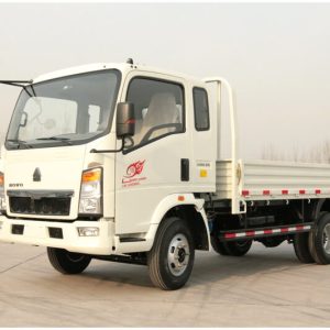 HOWO Light Cargo Truck
